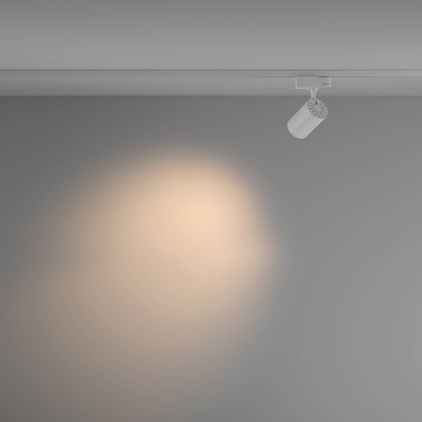 Трековый светильник Maytoni Vuoro Trinity TR029-3-10W3K-M-W