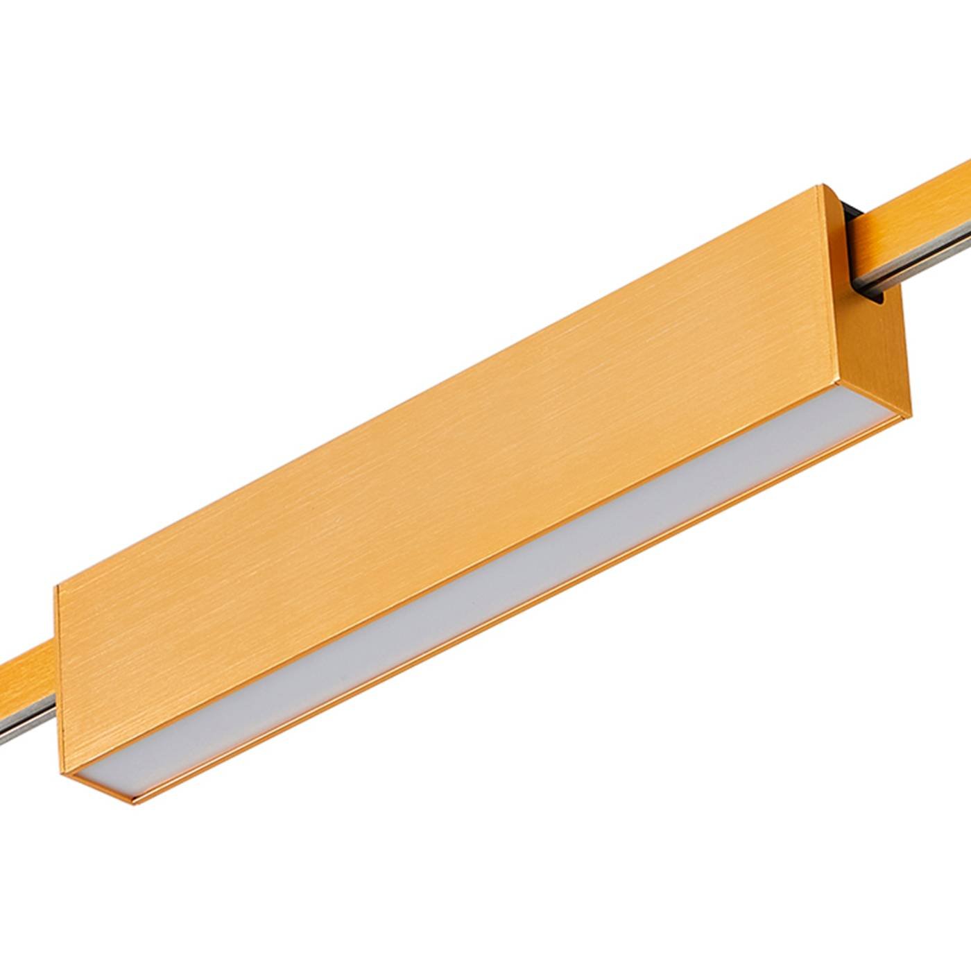 ST817.206.12 Трековый светильник ST Luce Farm ST817.206.12