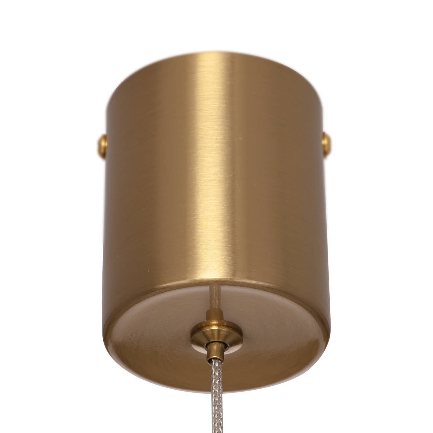 Подвесной светильник TANNA Citilux CL253010