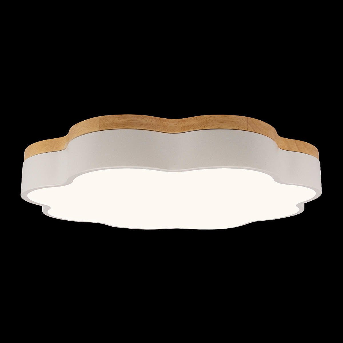 Светильник потолочный Loft It Axel 10225/36 White