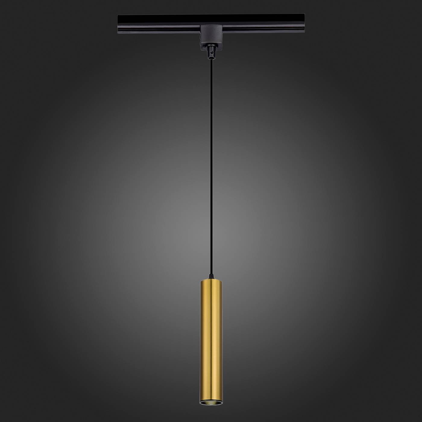 ST151.306.01 Трековый светильник ST Luce ST151.306.01