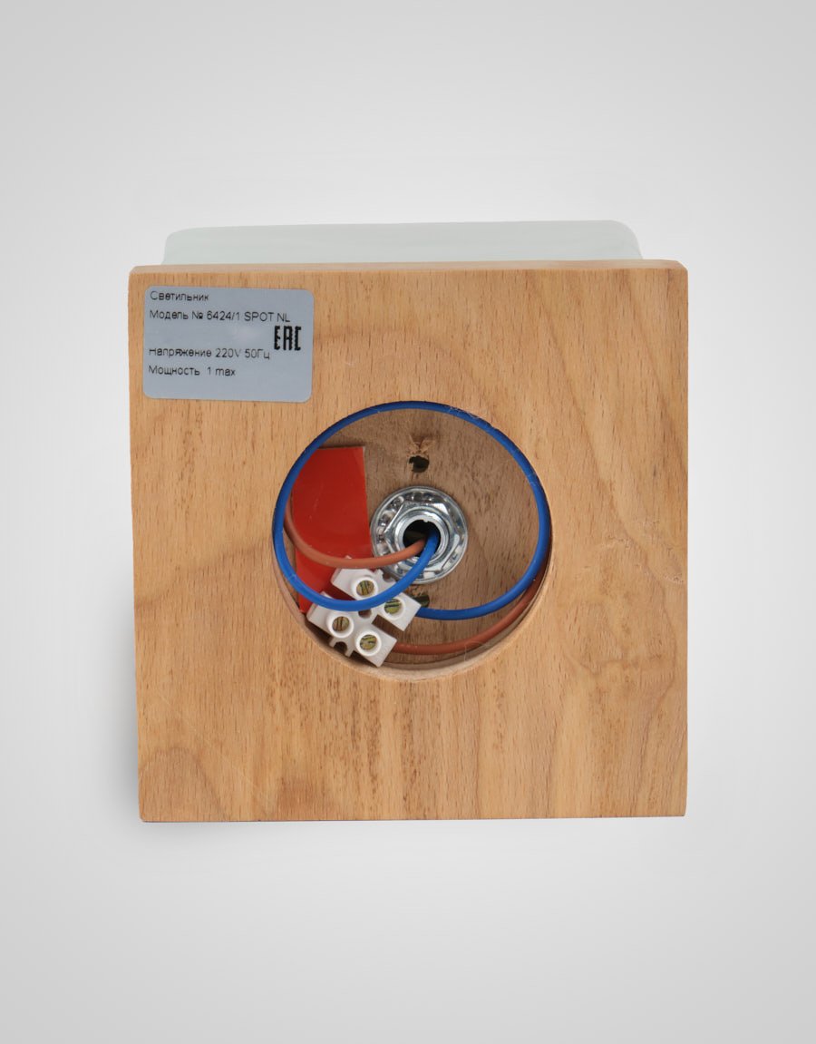 Светильник потолочный Мелодия Света Nika 000036813