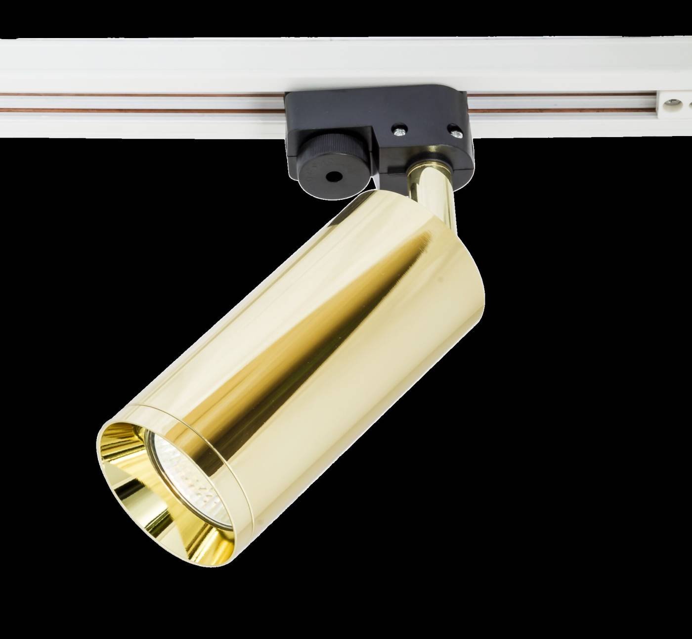 TR004-1-GU10-G Трековый светильник Maytoni Focus Unity TR004-1-GU10-G