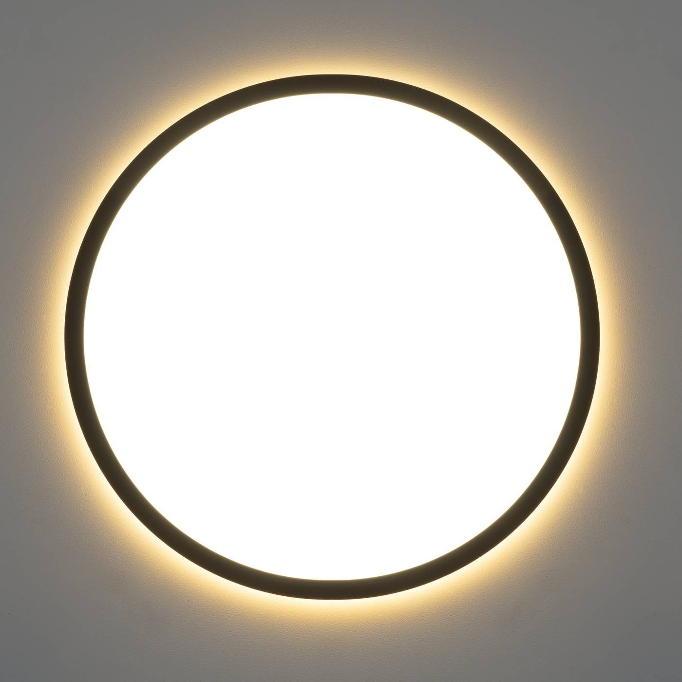 CL748321 Светильник потолочный Citilux Norma CL748321