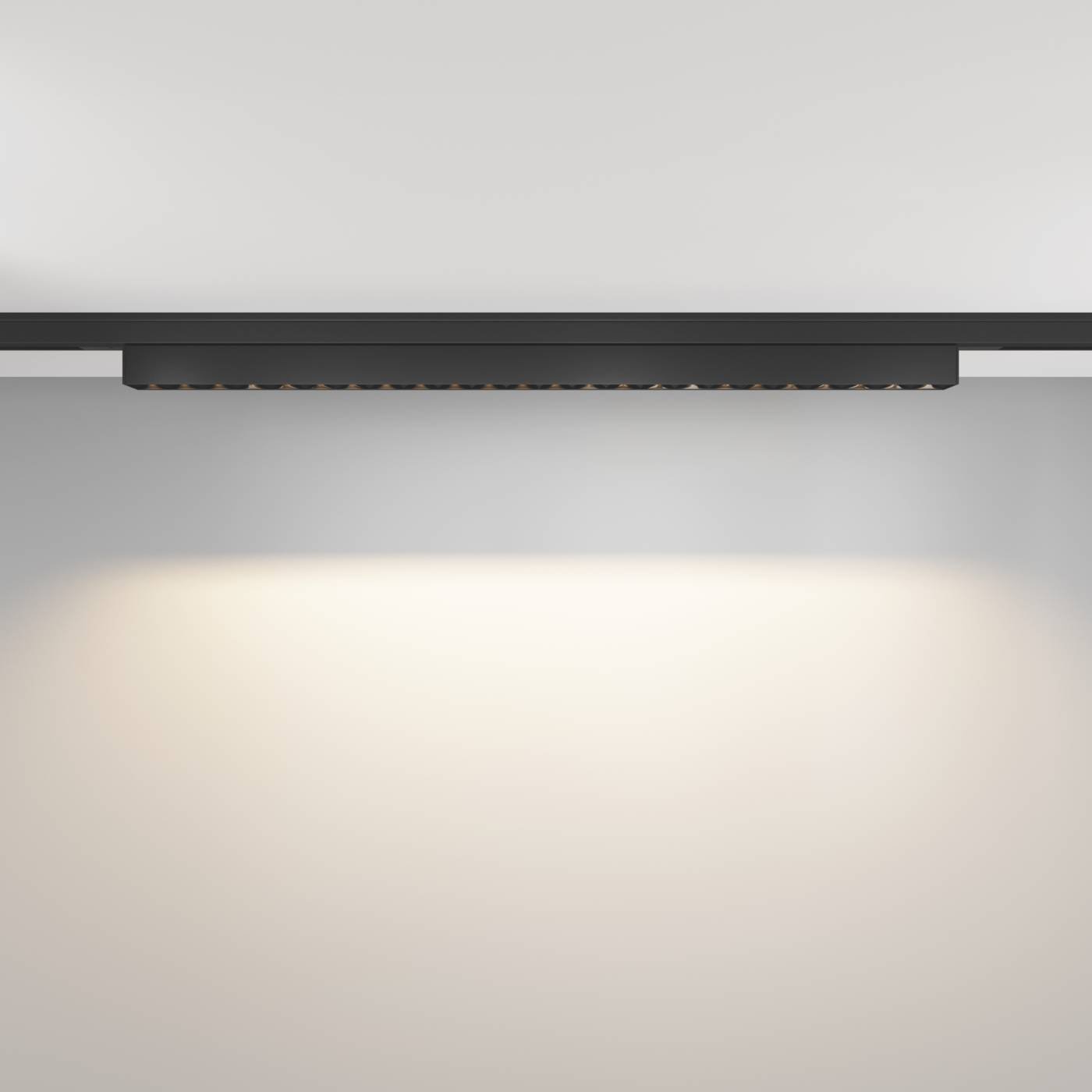 Трековый светильник Maytoni Points TR193-1-20W3K-M-B