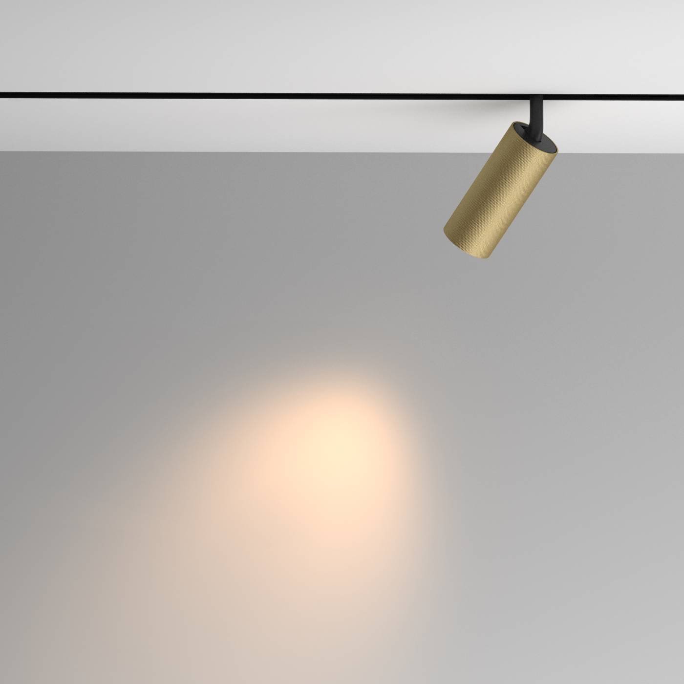 Трековый светильник Maytoni Artisan Exility TR097-2-12W3K-M-BMG