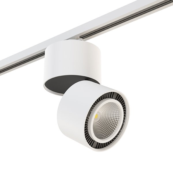 A1T213850 Трековый светильник Lightstar Forte Muro A1T213850