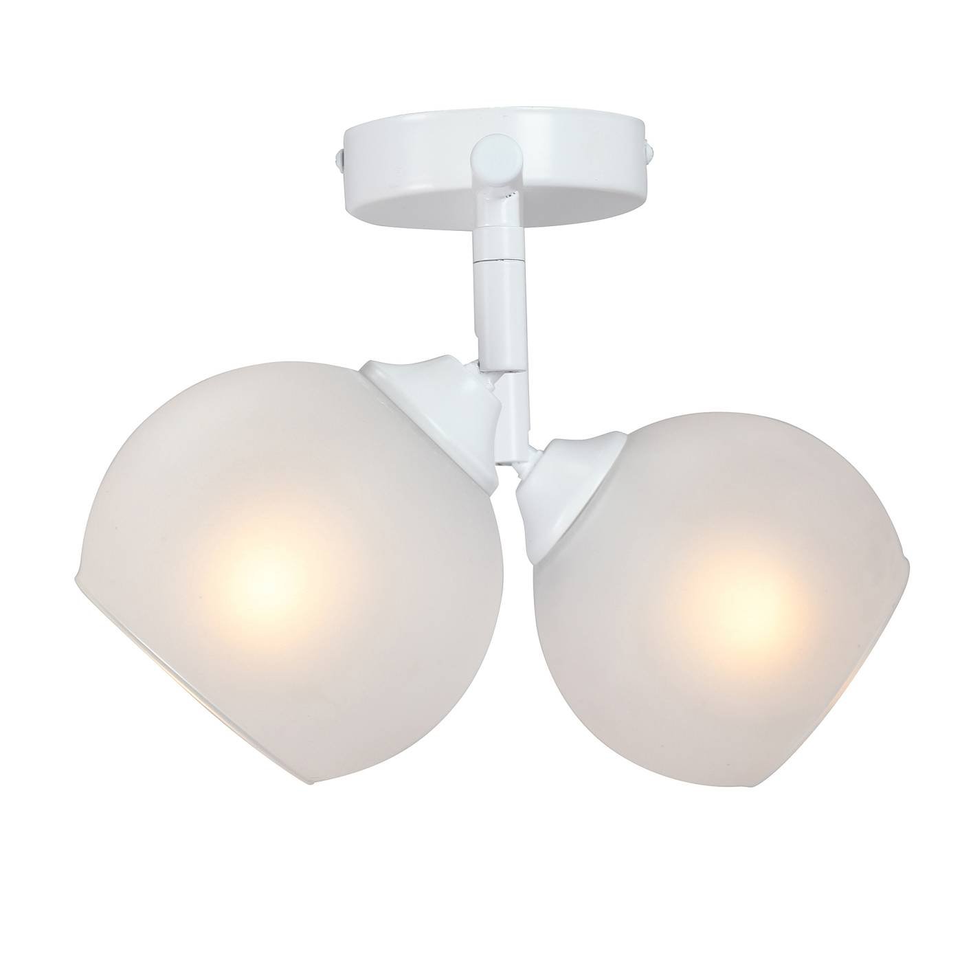 Потолочная люстра Vitaluce V4313-0/2PL