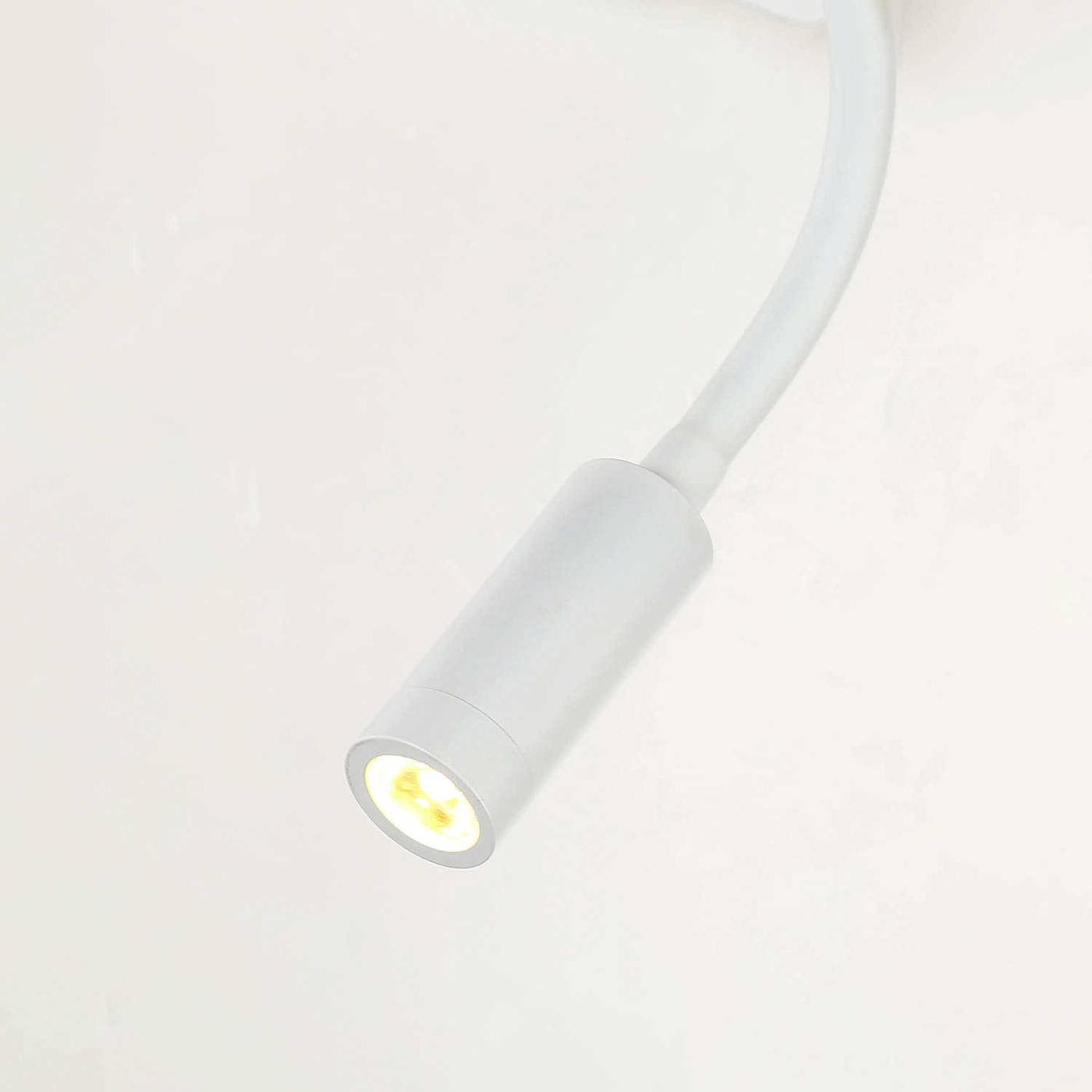 2895-1W Настенное бра Favourite Liga 2895-1W