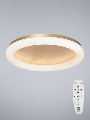 V2539DT-8/1PL Потолочный светильник Vitaluce V2539DT-8/1PL