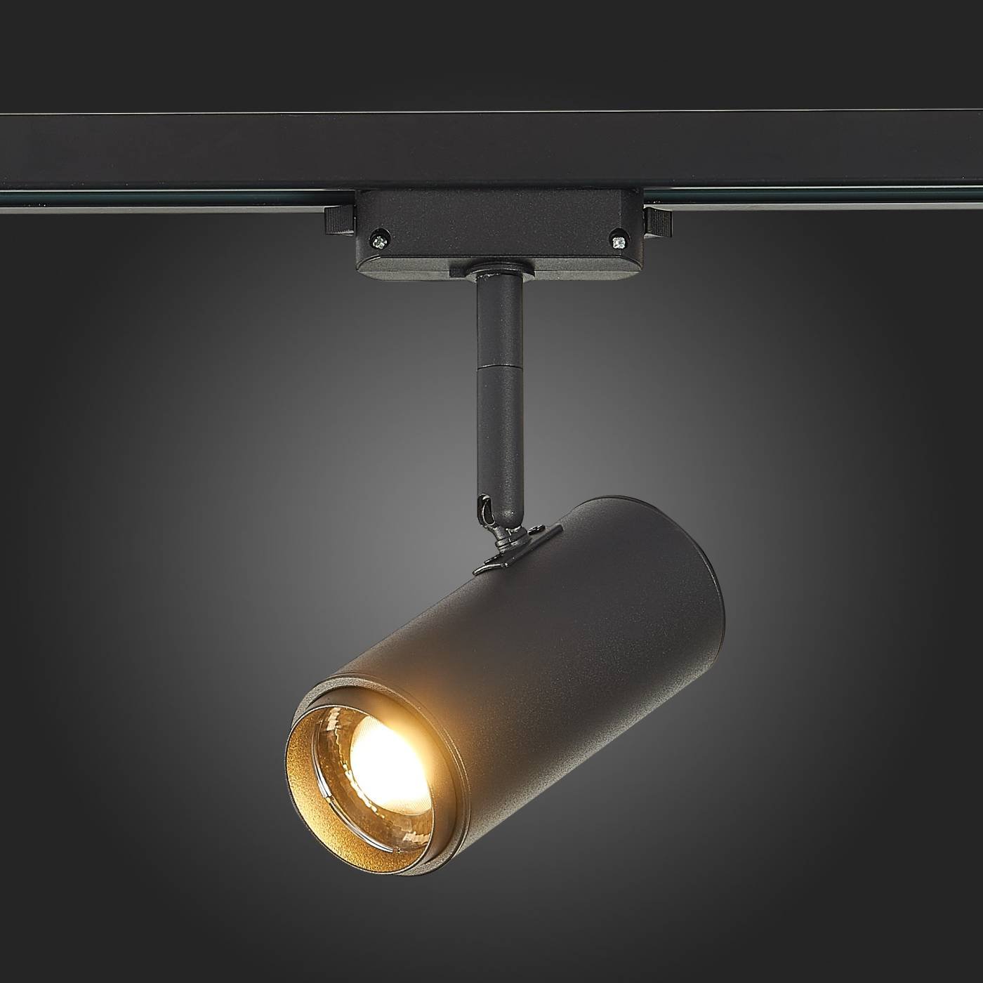 ST600.436.12 Трековый светильник ST Luce Zoom ST600.436.12