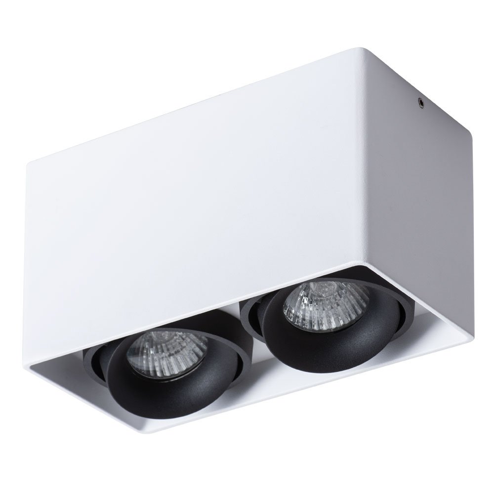 A5654PL-2WH Накладной светильник Arte Lamp Pictor A5654PL-2WH