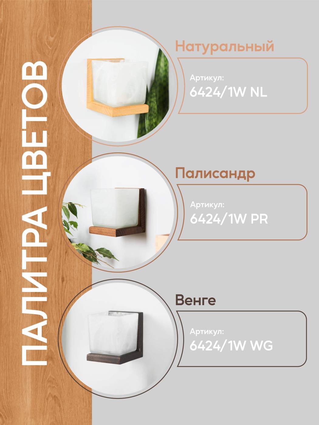 Настенный светильник Мелодия Света Nika 000031278