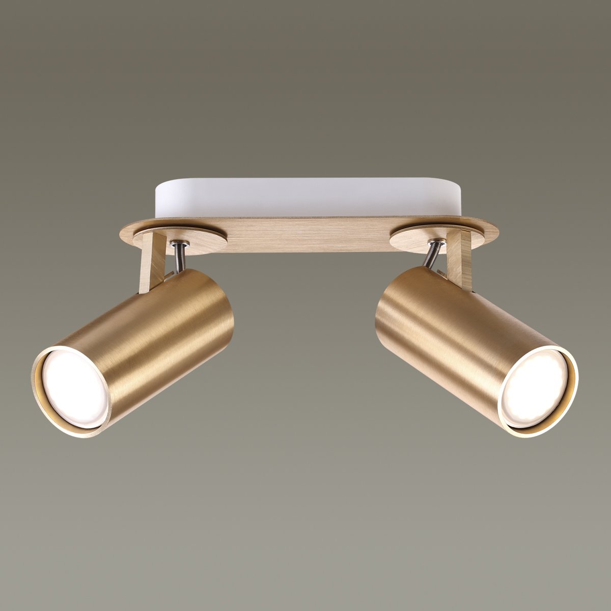 Светильник спот Odeon Light Corse 3876/2C