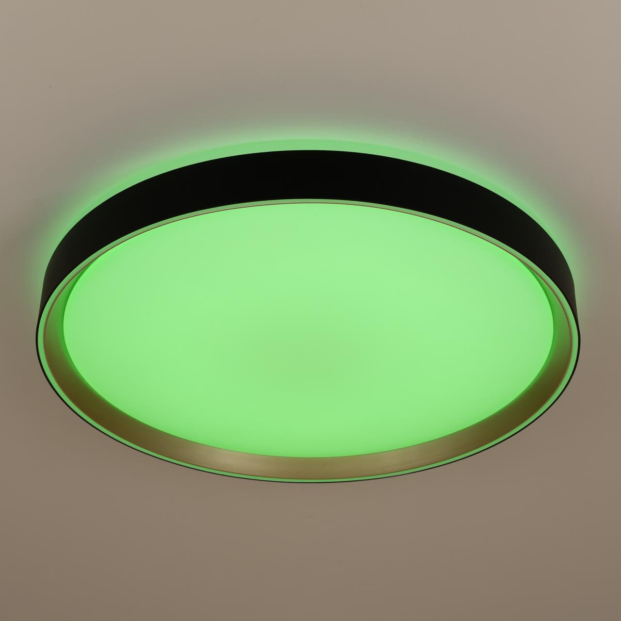 CL751451G Светильник потолочный Citilux Boss CL751451G