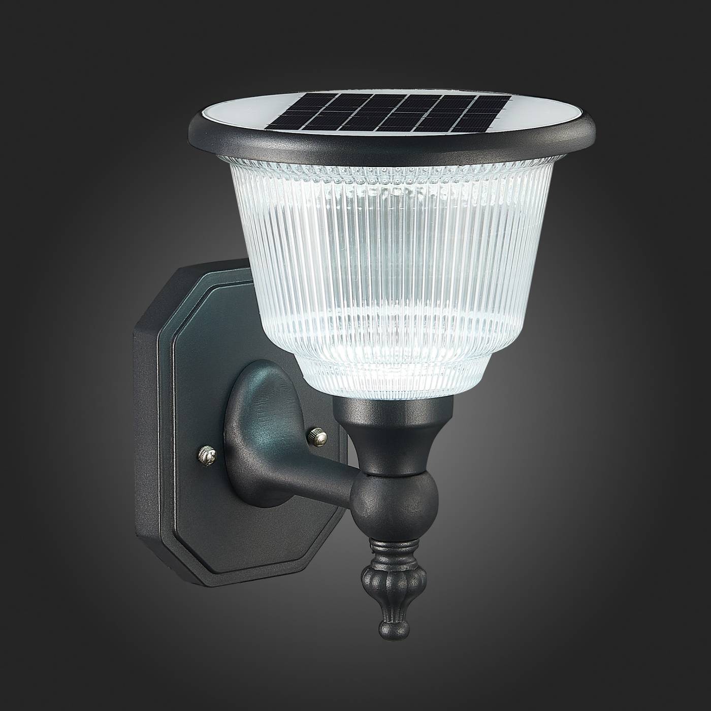 Уличный настенный светильник ST Luce Solaris SL9502.401.01