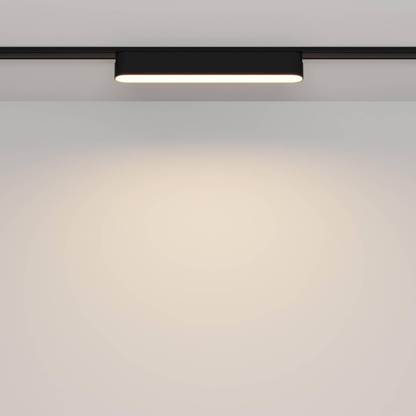 Трековый светильник Maytoni BASIS Radity TR080-1-12W3K-B