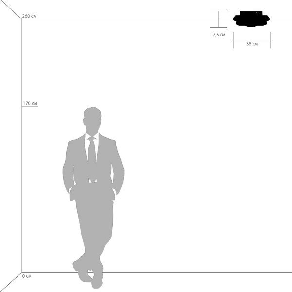 750074 Потолочная люстра Lightstar Favo 750074