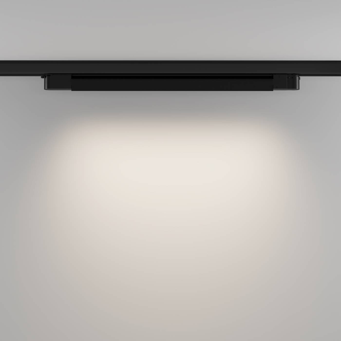 Трековый светильник Maytoni Basis TR196-3-20W4K-B