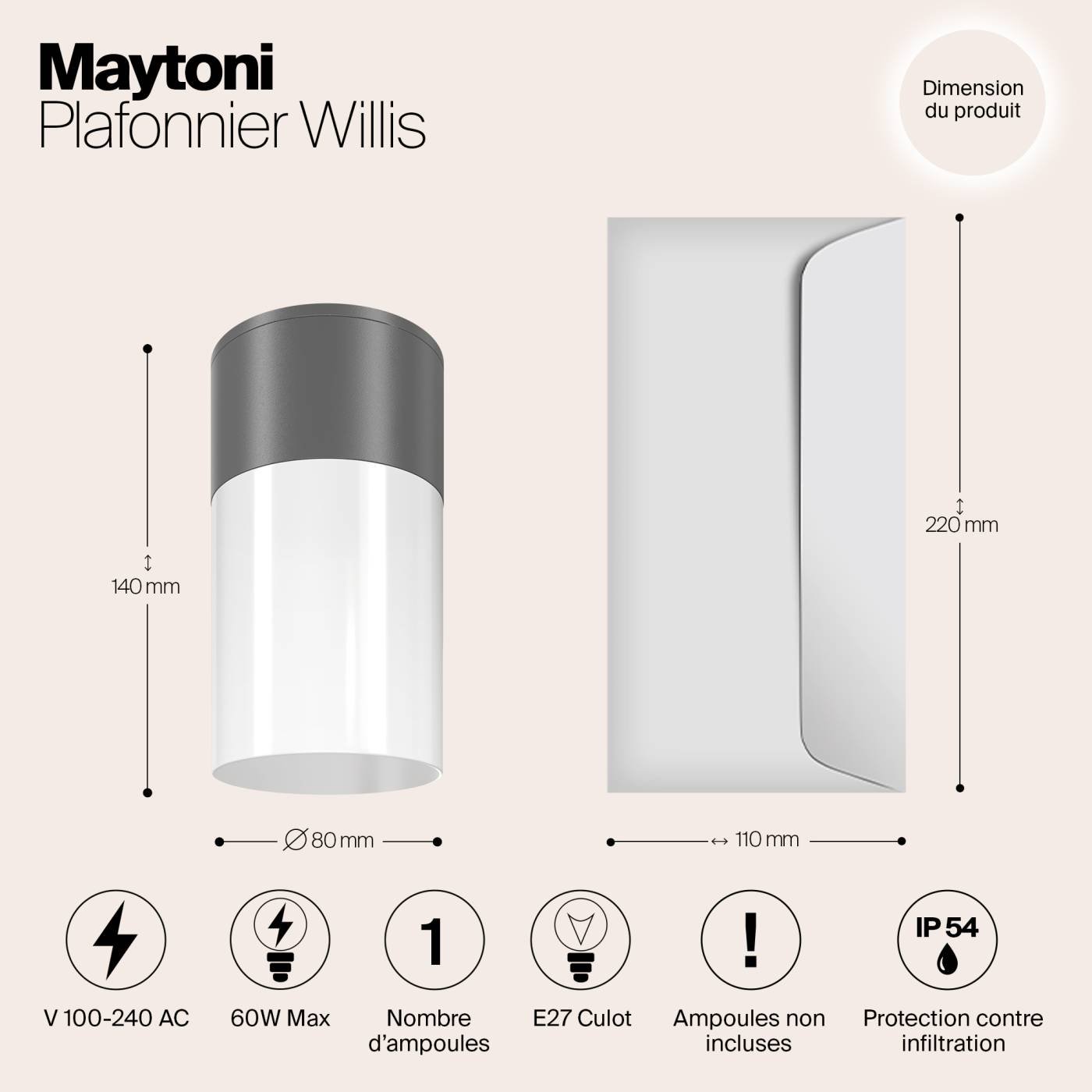 Уличный потолочный светильник Maytoni Willis O418CL-01GR