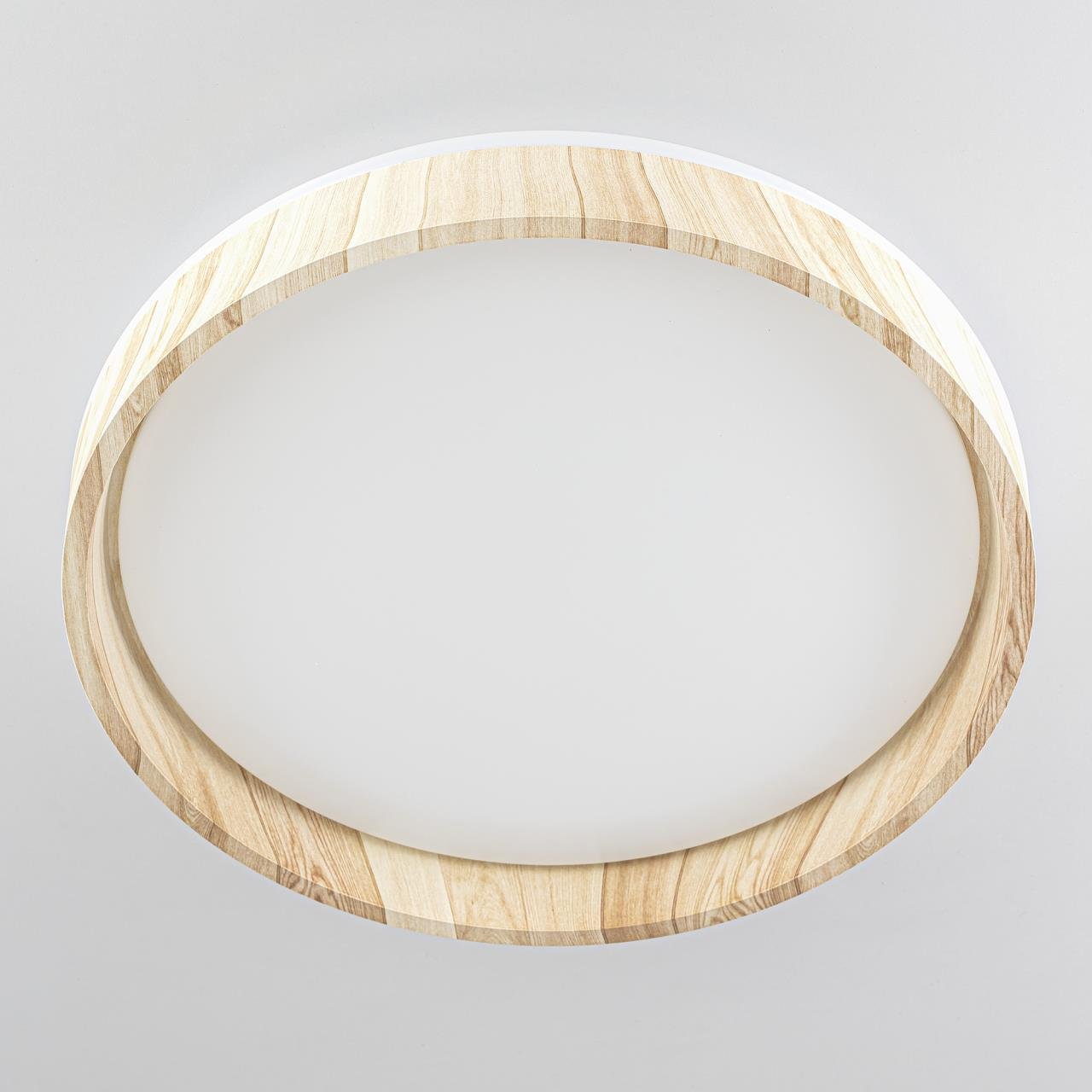 CL753352G Светильник потолочный Citilux Enzo CL753352G