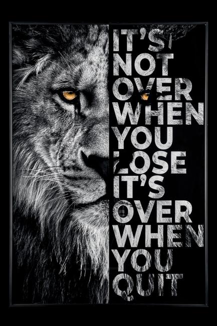 TD112 Картина настенная Teona Decor Lion TD112