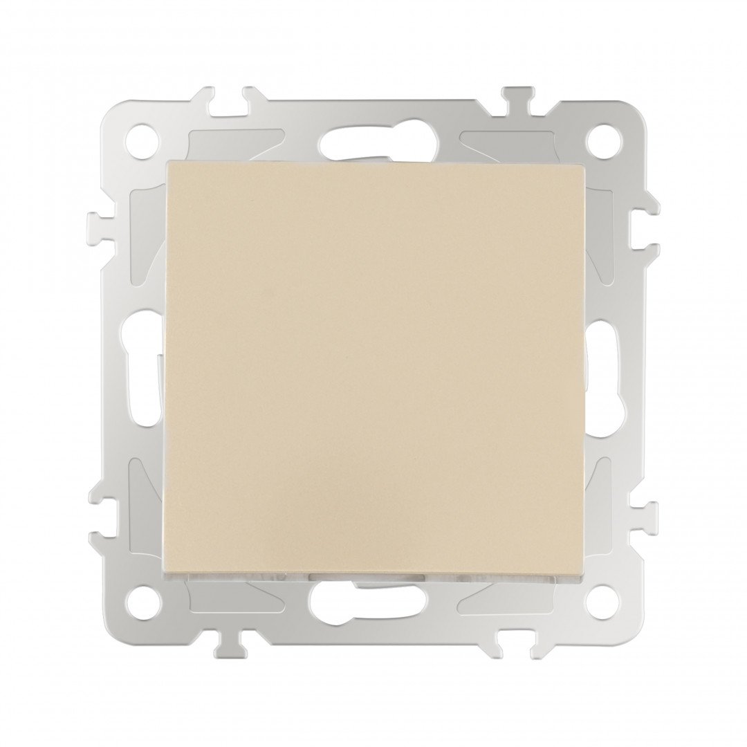 Выключатель Arte Milano Am-206 206.32-1.shampan