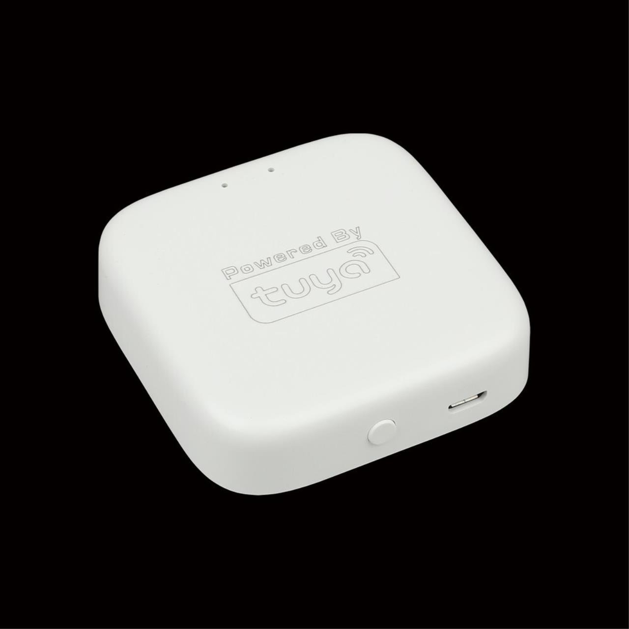 APL.0295.00.01 Шлюз управления Aployt Magnetic track 220 APL.0295.00.01