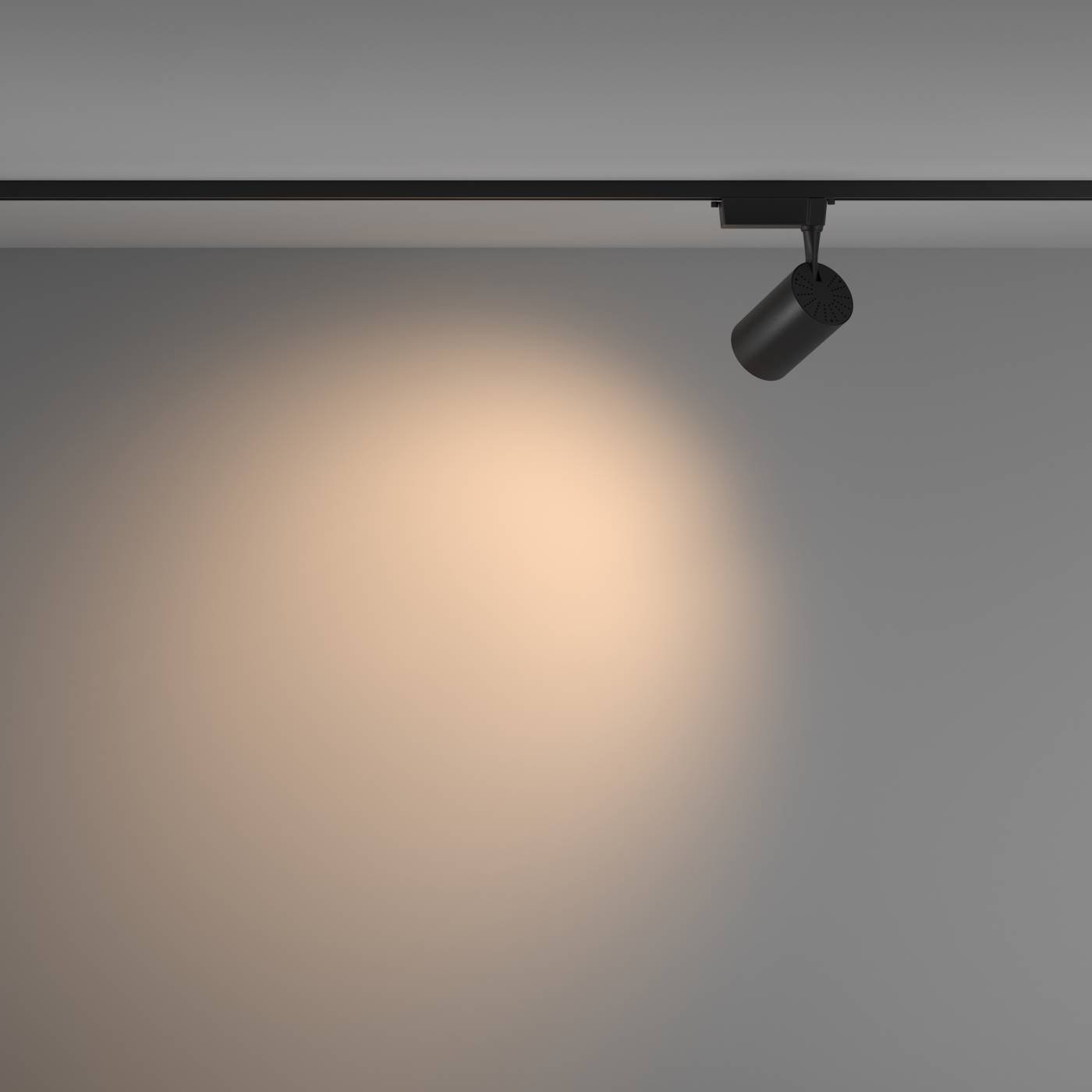 TR003-1-26W3K-W-B Трековый светильник Maytoni Vuoro Unity TR003-1-26W3K-W-B