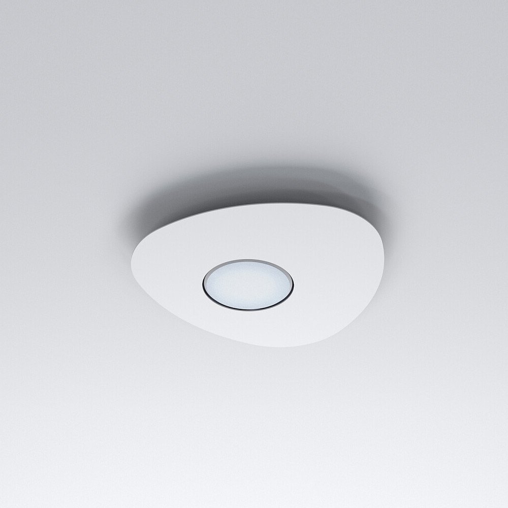 Светильник потолочный Nowodvorski Organic 8305