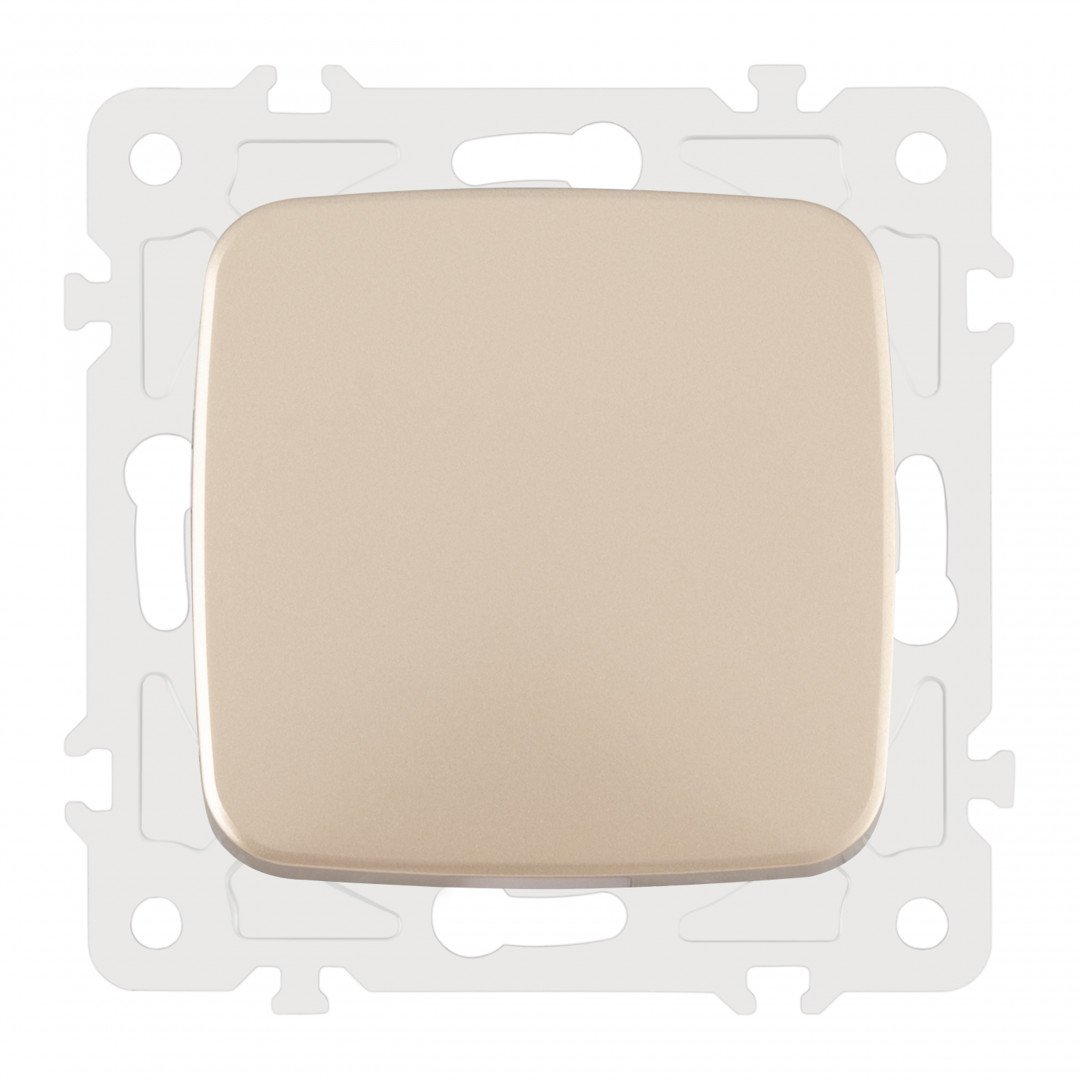 Выключатель Arte Milano Am-205 205.30-1.shampan
