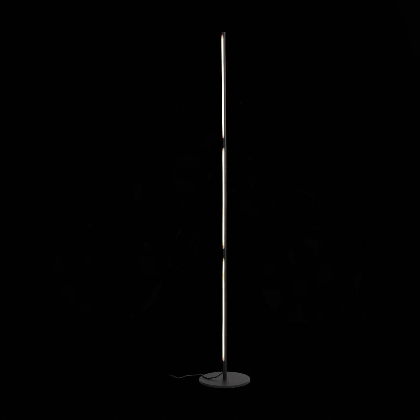 Торшер ST Luce Ralio SL1580.405.01