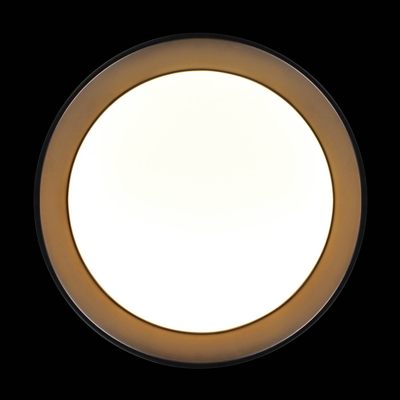 Светильник потолочный Loft It Coin 10202 BB