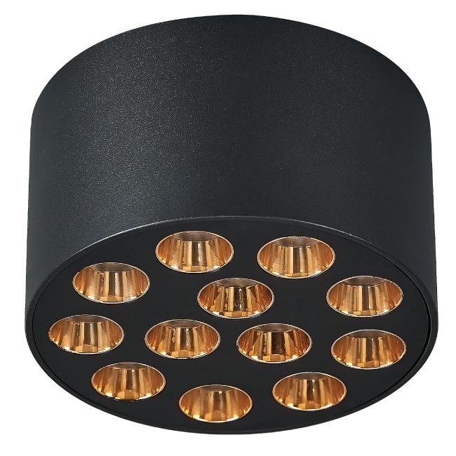 Накладной светильник Lightstar Guarda 080942