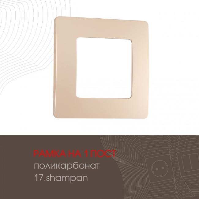 517.17-1.shampan Рамка Arte Milano Am-517.17 517.17-1.shampan