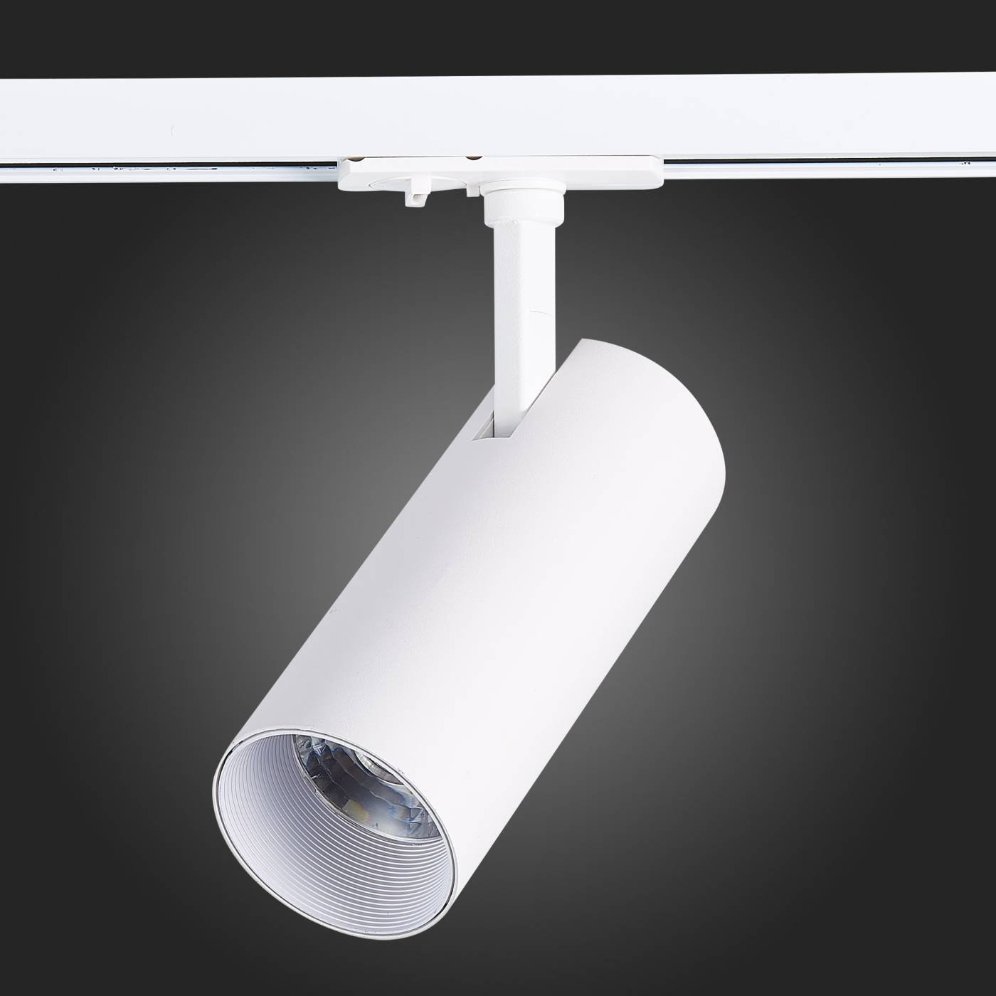 ST350.536.15.36 Трековый светильник ST Luce Mono ST350.536.15.36