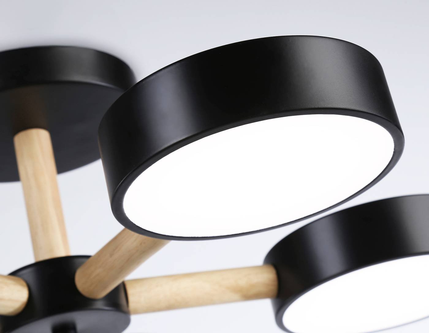 FL4828 Потолочная люстра Ambrella LineTech FL4828