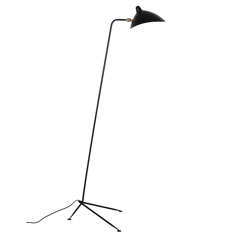 L05641 Торшер L'Arte Luce Luxury Spider L05641