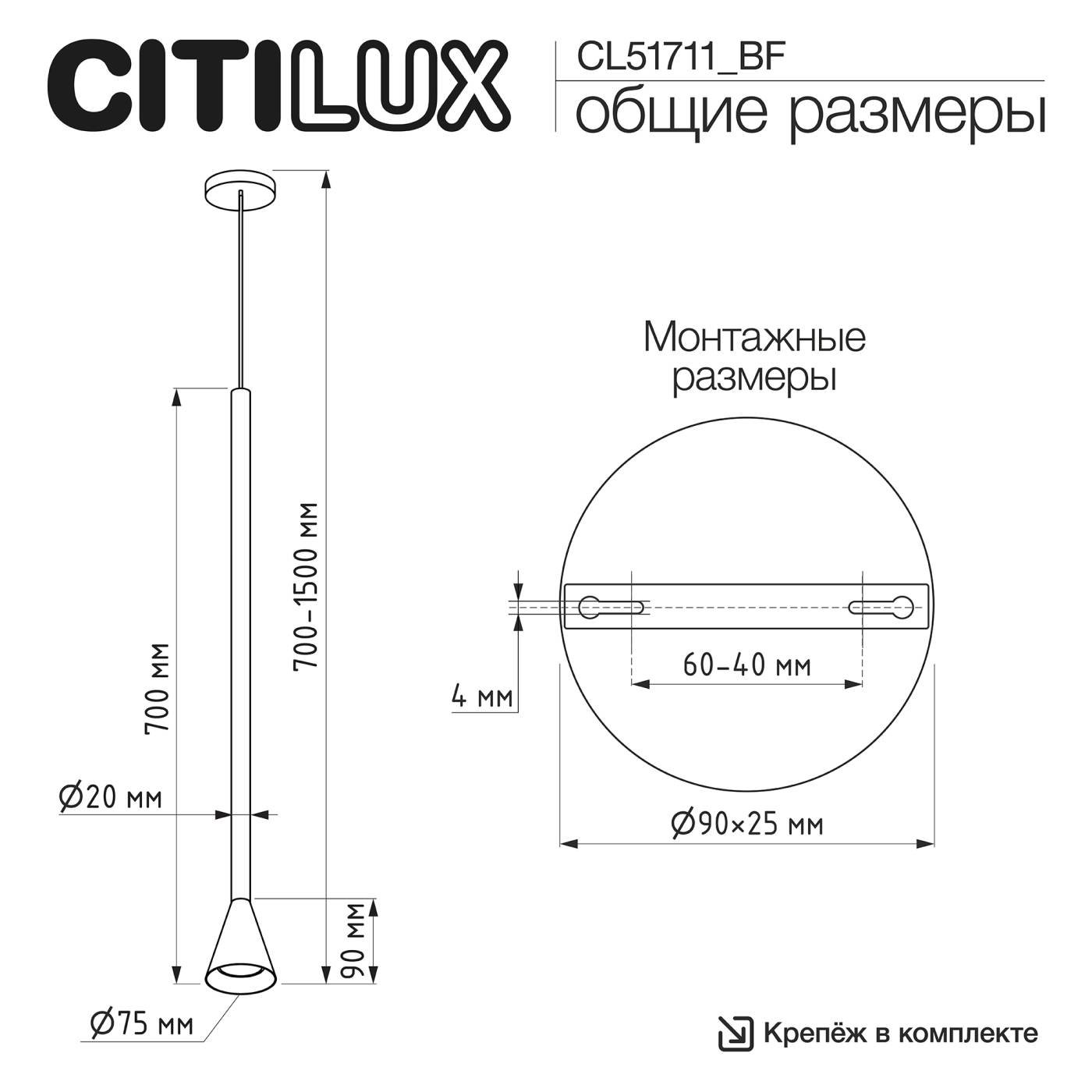 Подвесной светильник DUZA Citilux CL51711_BF
