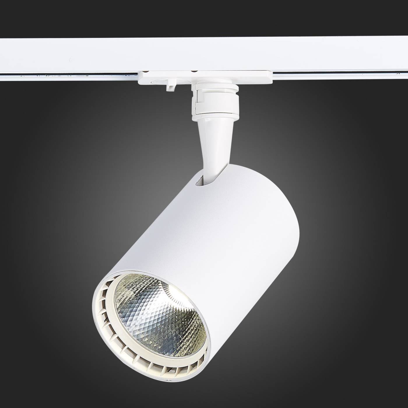 ST351.536.20.36 Трековый светильник ST Luce Cami ST351.536.20.36