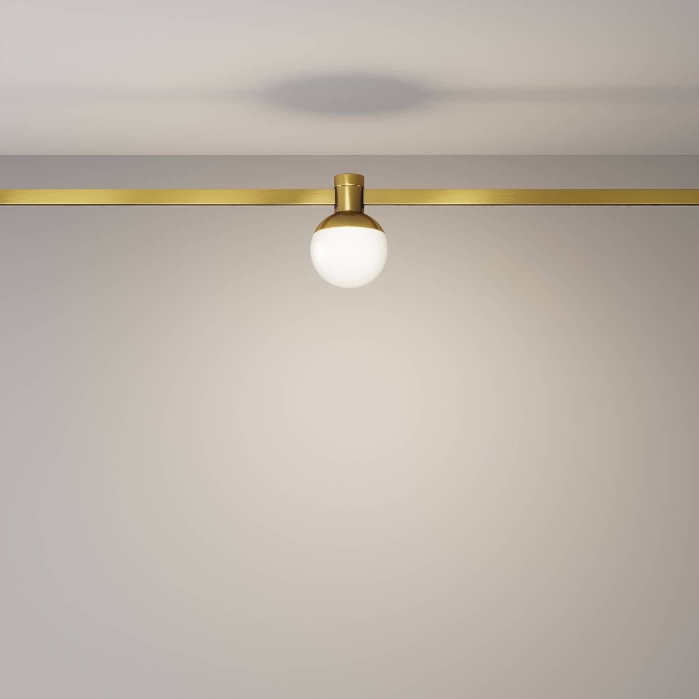 Трековый светильник Maytoni Luna TR149-1-5W4K-BS