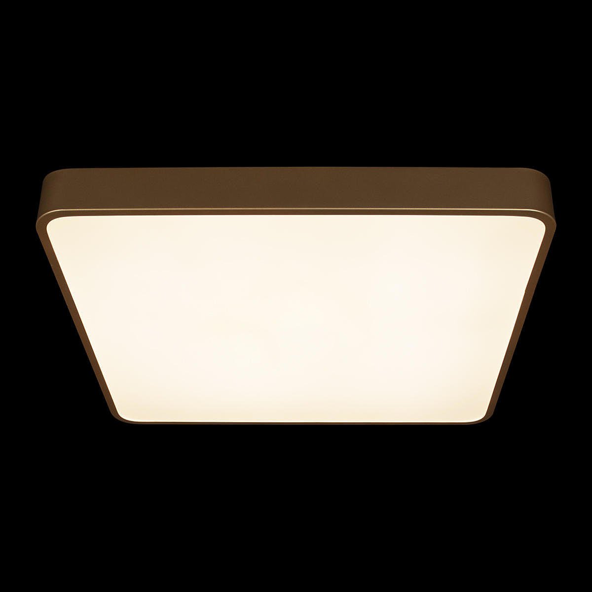 Светильник потолочный Loft It Flims 10228/D