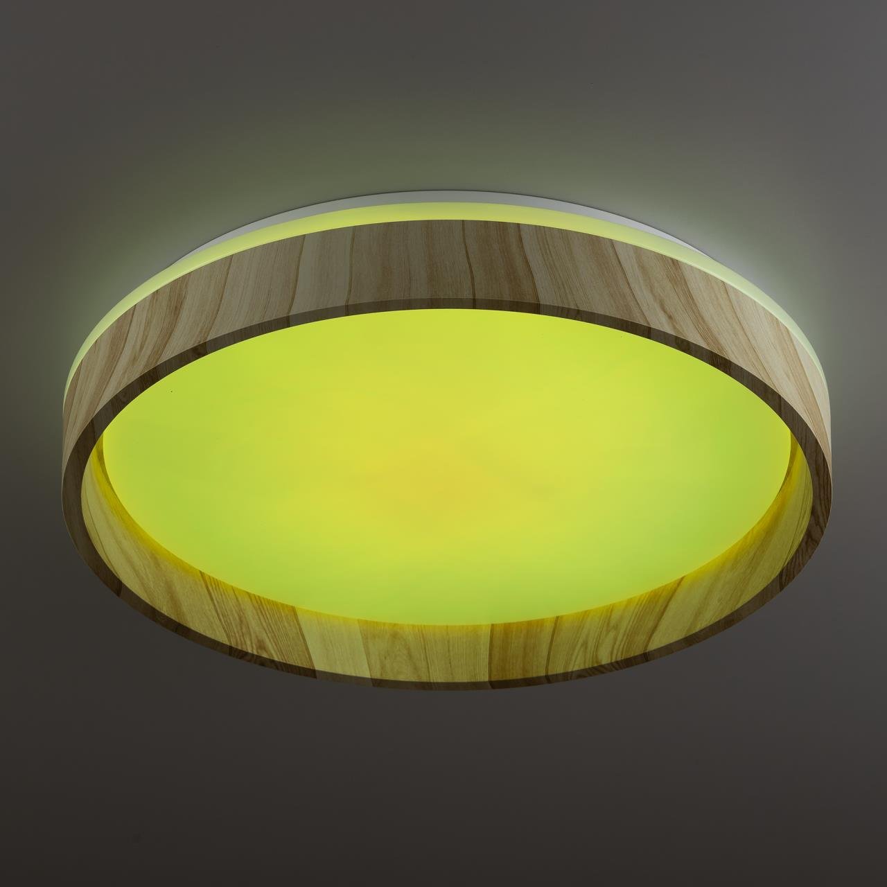 CL753352G Светильник потолочный Citilux Enzo CL753352G