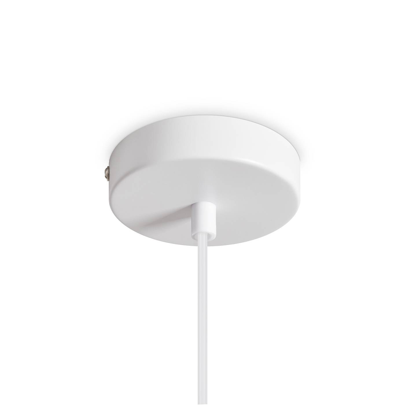 Светильник подвесной Freya Shapes FR5530PL-01W