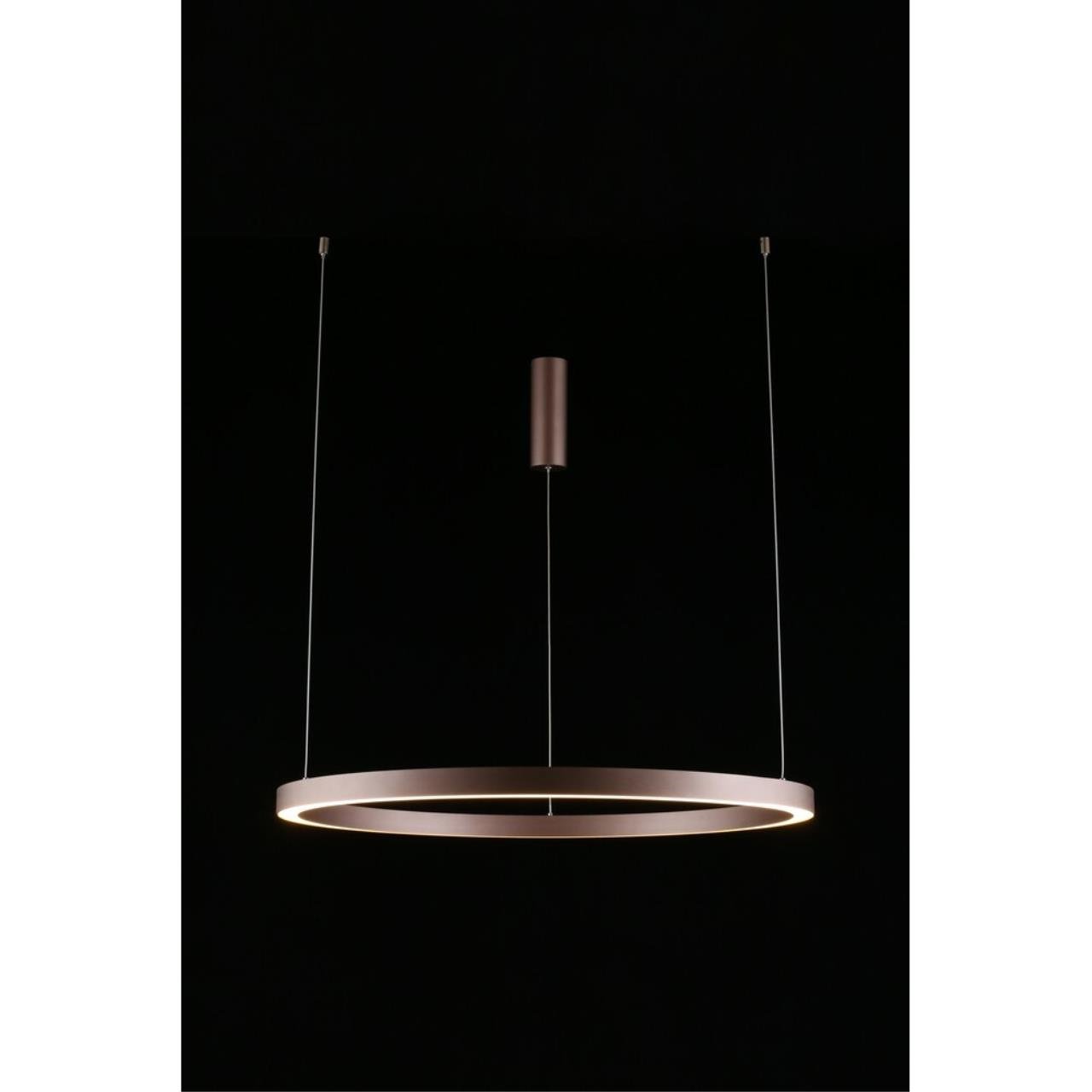 Подвесная люстра Aployt Nisia APL.025.03.60