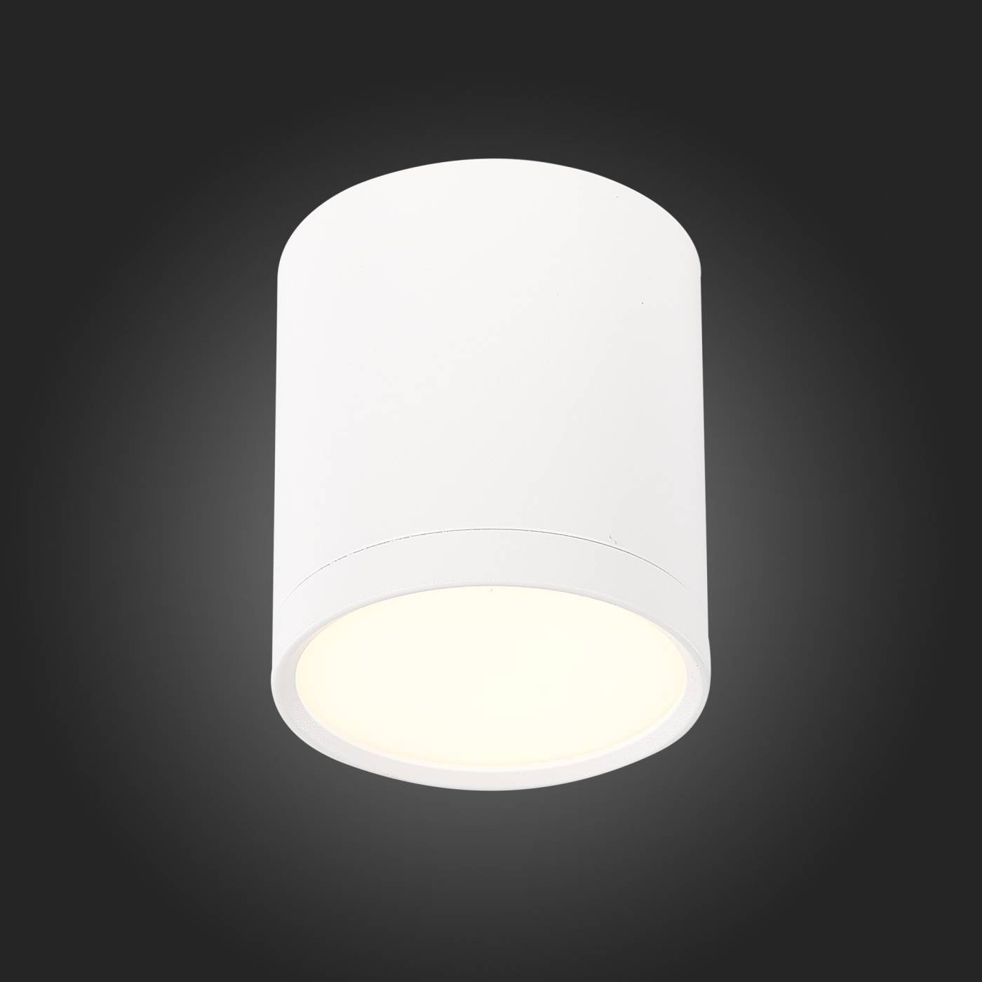 Накладной светильник ST Luce Rene ST113.532.05