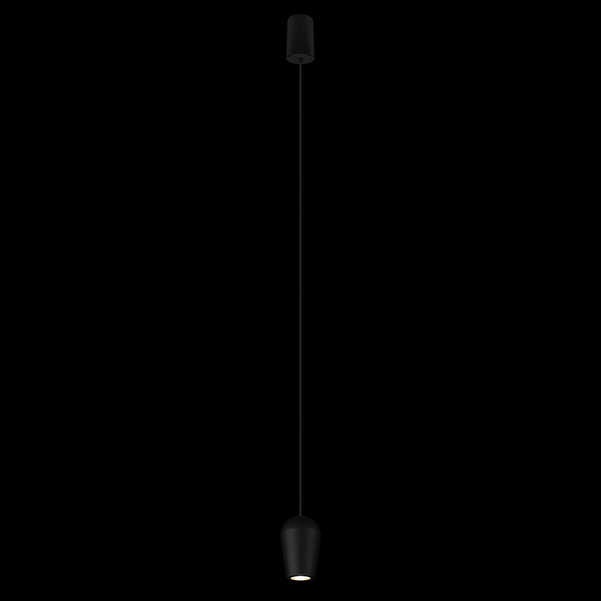 10357/1 Светильник подвесной Loft It Blackout 10357/1