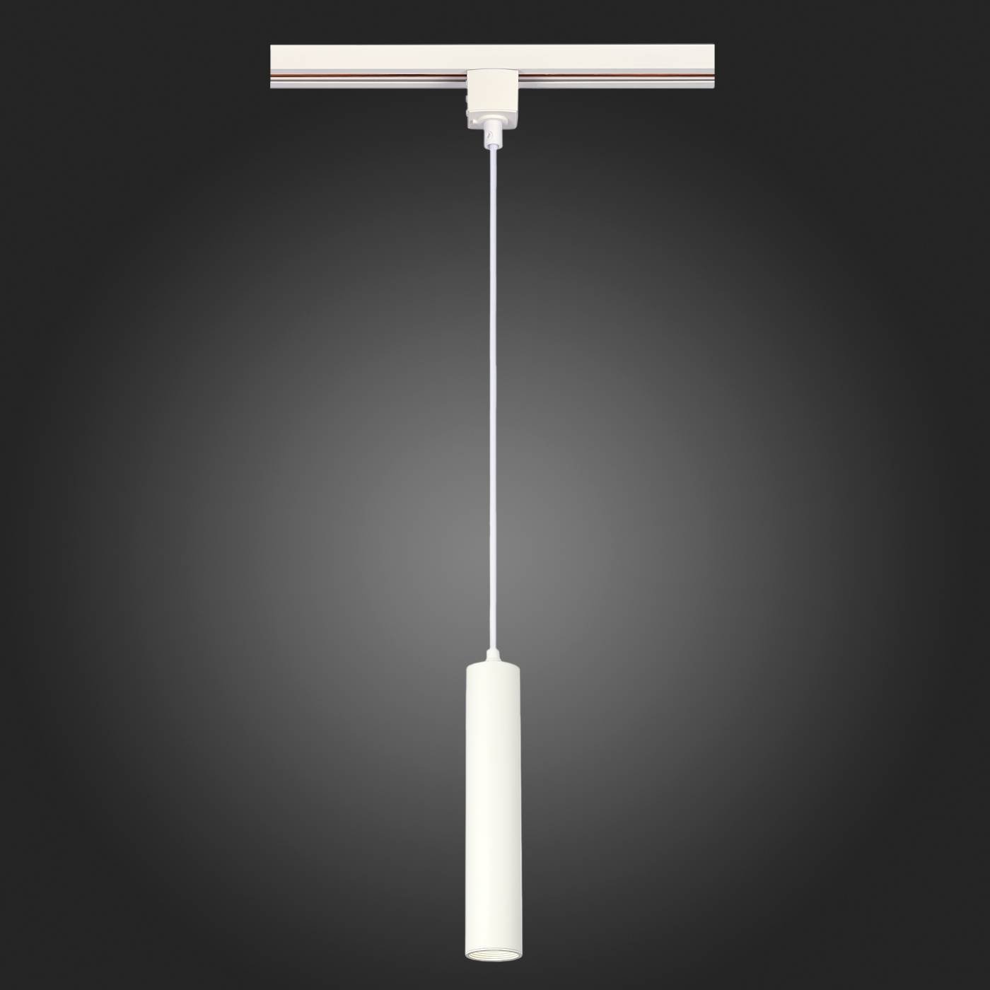 Трековый светильник ST Luce ST151.506.01