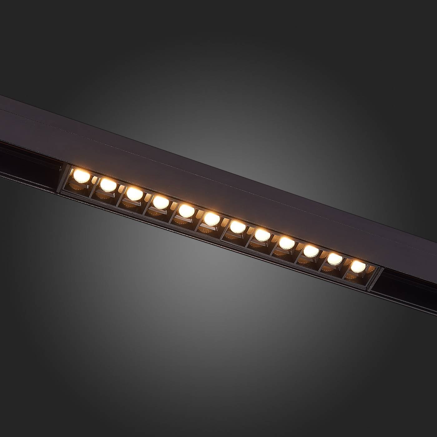 Магнитный трековый светильник ST Luce Seide ST361.436.12