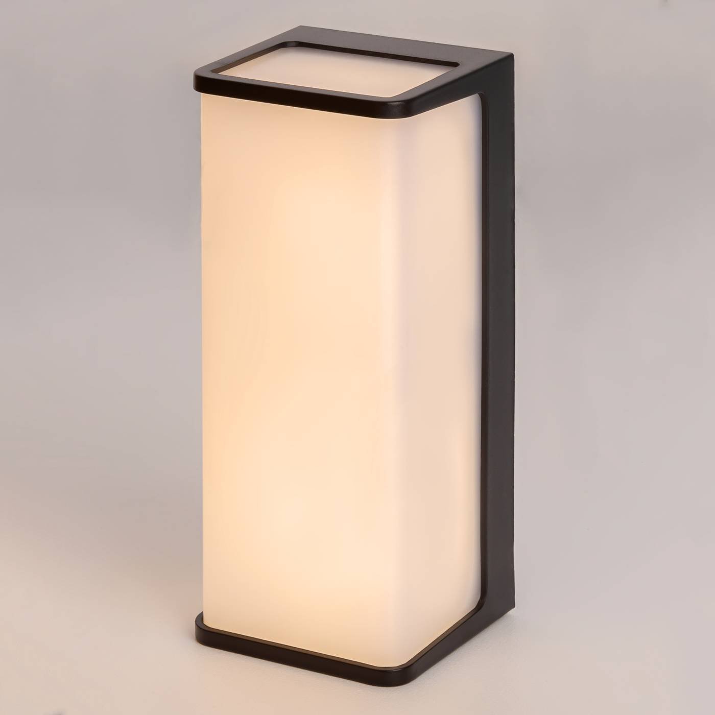 CLU0802 Уличный настенный светильник Citilux Domus CLU0802
